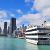 Combo Marine Wildlife Cruise + Cape Town City PM Tour