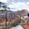 Combo Marine Wildlife Cruise + Cape Point PM Tour