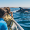Whale Route Full Day Tour