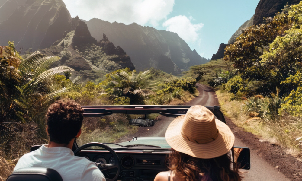 Cape Town Self-Drive Safari