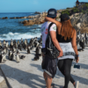 Cape Peninsula & Penguin Colony Full-Day Tour (with Lunch)