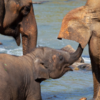 4 Star 3 Days Cape Town Package