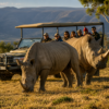 5 Star 4 Days Cape Town Package