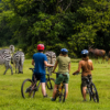 E-Bike Garden Route 3 Days / 2 Nights (3-Star)