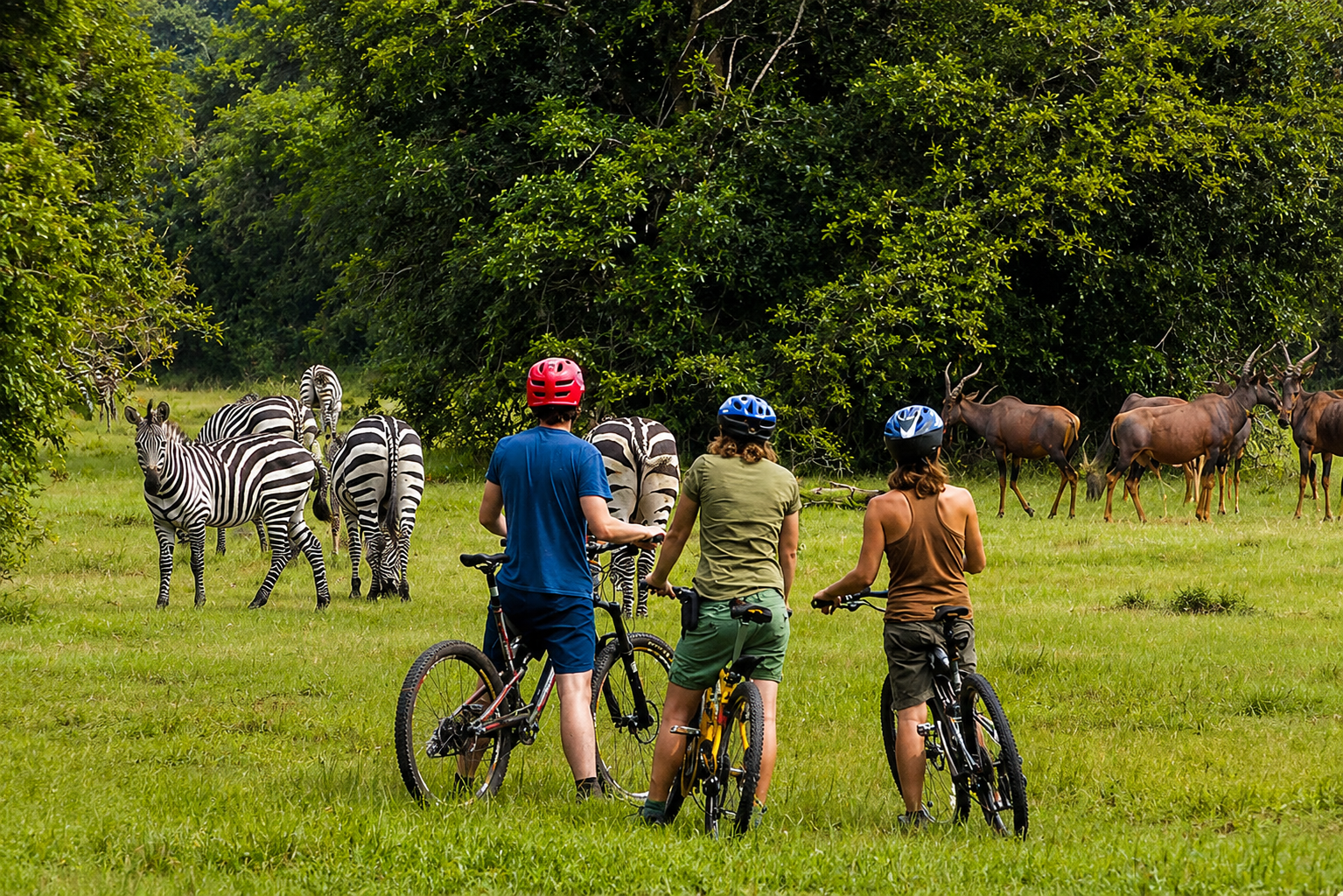 E-Bike Safari