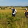 Day 3 – Mountains, Forests & Local Discoveries