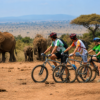 E-Bike Garden Route 3 Days / 2 Nights (4 star)