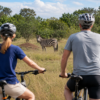 E-Bike Garden Route 4 Days 3 Nights